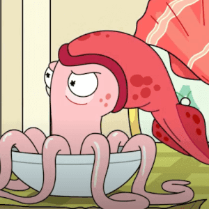 Mr. Nimbus' Squid